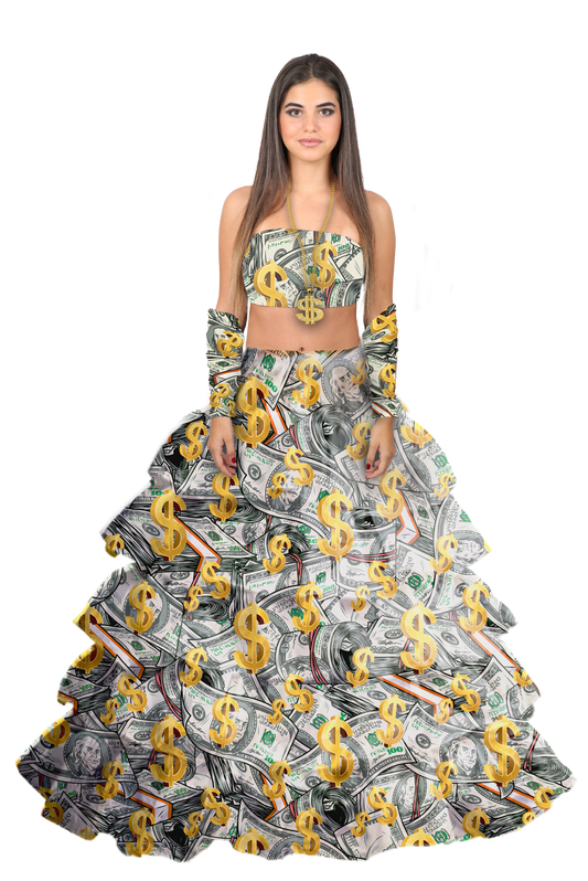 Million Dollar Babe Dress